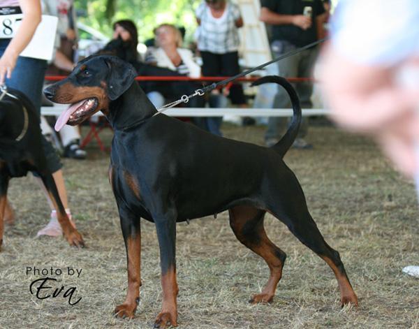 Jacira in der Vorrunde IDC 2009.jpg